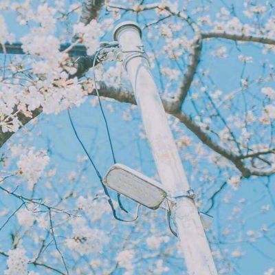 安吉滑轮下载
