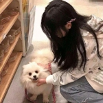 万界诛妖录手机版下载